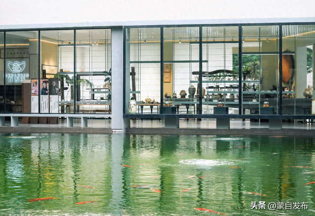 近期爆火！探秘蒙自这个热门打卡地，超推荐！