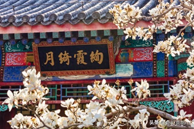 当代散文|那湖·那楼·那人