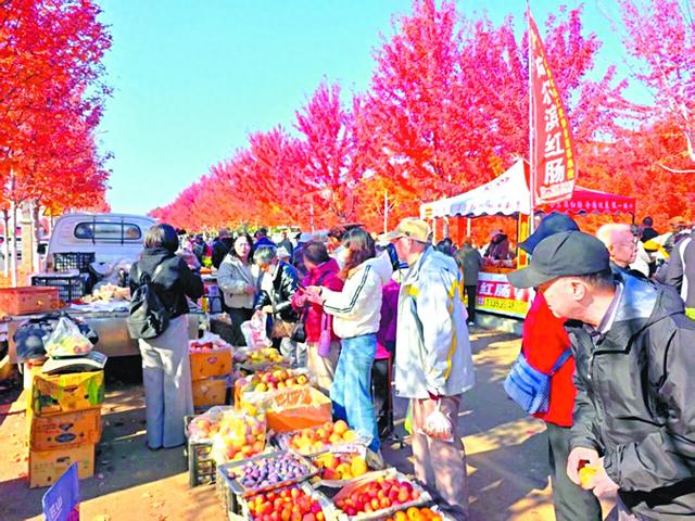 抚宁枫林市集人气消费均创新高