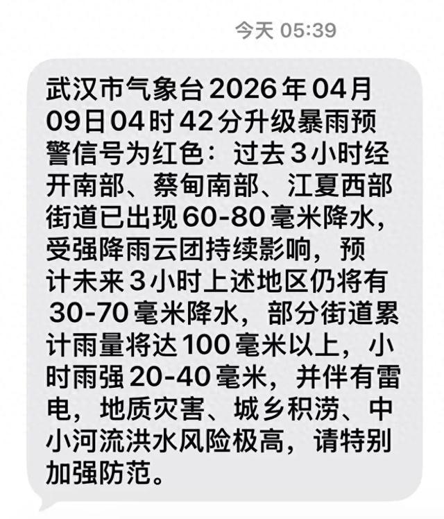 暴雨将停，AI赏花一键直达！