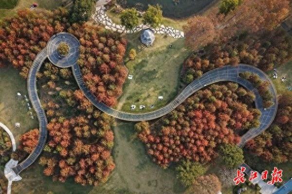 藏在公园里的浪漫栈道