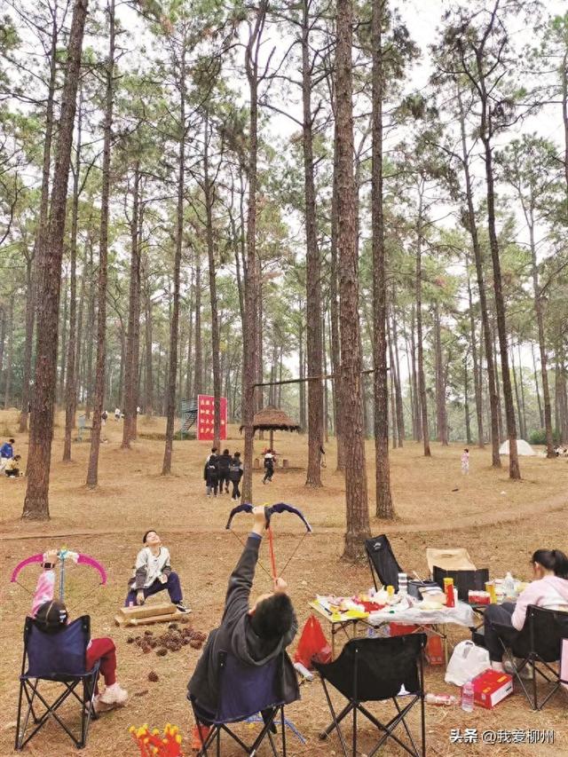 不少市民热衷打卡停业的景区或公园 相关管理方提醒：尽量不要到无人管理的景区或园区游玩