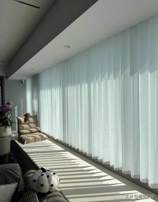 127平小窝住半年，家里主子爱窗台垫，朋友追着问来历