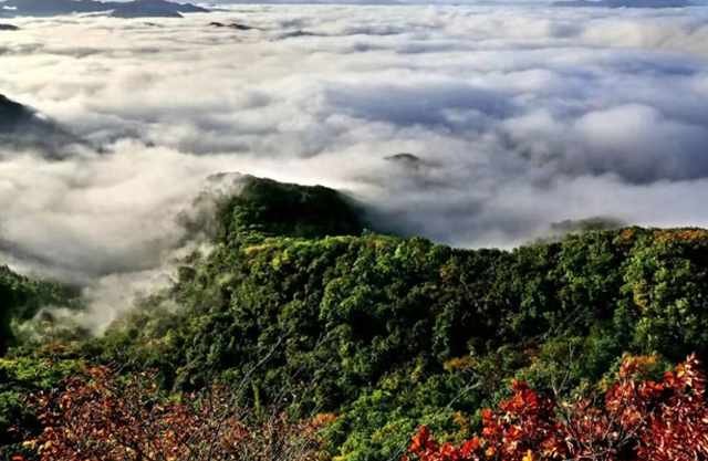 秋韵满山间！抚顺天女山首届枫叶音乐节开幕