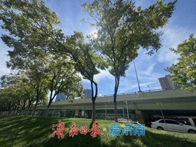 初秋“上新”！济南燕山立交桥下景致迷人