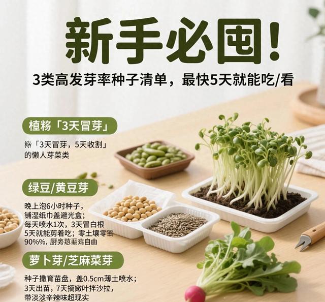 各种花卉种子哪里有卖（新手必囤3类高发芽率种子清单）