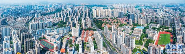 腥城破解版旧版本（这一次）