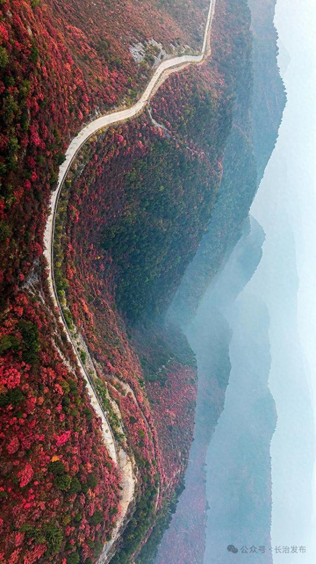 寻色三晋·山河入画｜太行一号旅游公路：在红叶云海间，驶入秋日的山水长卷