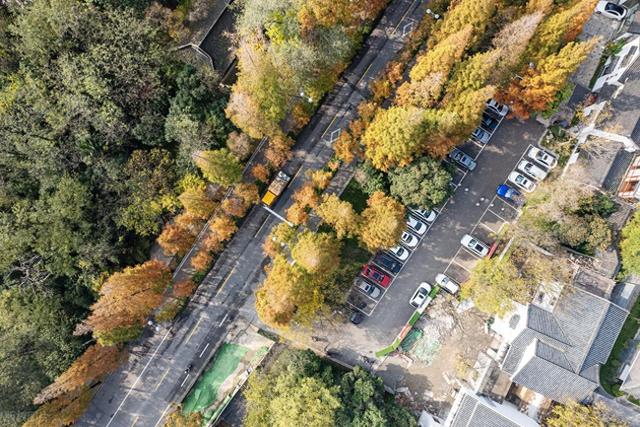 扬州六条神仙马路：解锁古城六重魅力密码