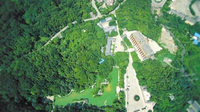 罗平酒店业“提档升级”迎避暑客