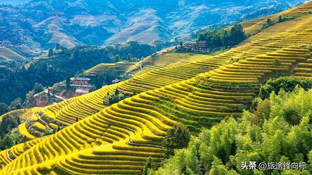 9 月错峰太香了，人少便宜，7 地秋色美到窒息