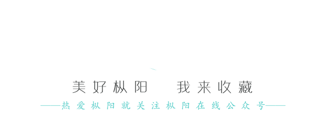 主流媒体看枞阳 | 中国旅游报：浮山记