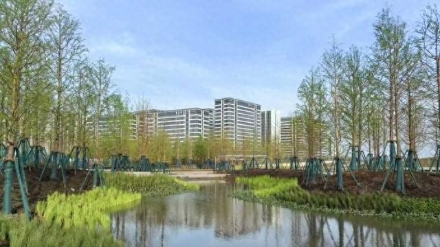 休闲打卡新去处！西岑科创小镇里竟藏了一个“生态公园”