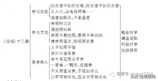 君家君尊君有何不同（部编版七年级语文上册期末知识点汇总上）