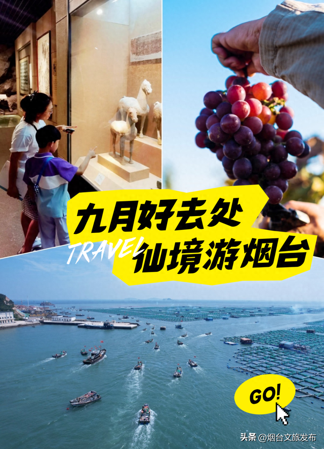 【乐游烟台】九月好去处丨开海季！大批生猛海鲜即将上桌
