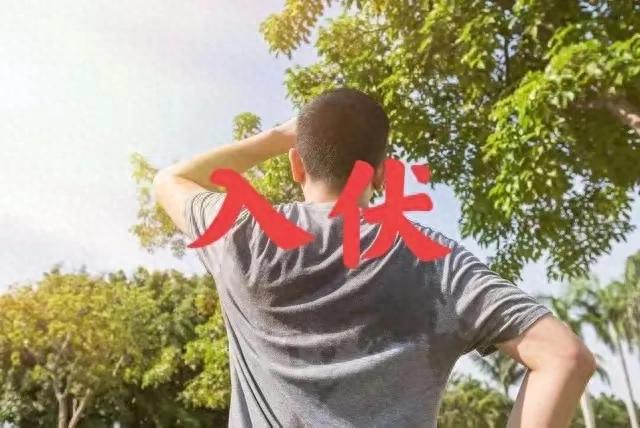 不怕入伏阴一天？？就怕入伏大晴天，老祖宗的天气预报准吗？