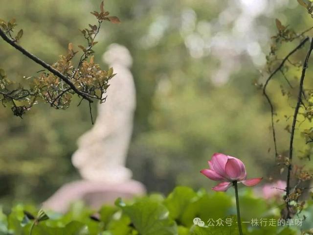 行走记｜李白故居行