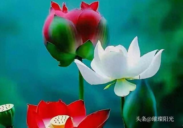 夫妻分房睡，男人忍耐的时间越久，就越能说明一个问题！别不信