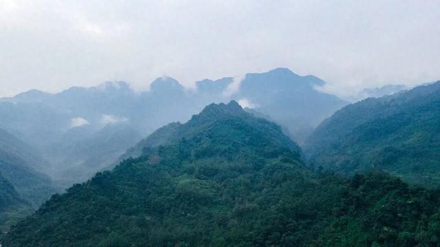 发现·公园城市 | 山风拂古寺，红豆映禅心