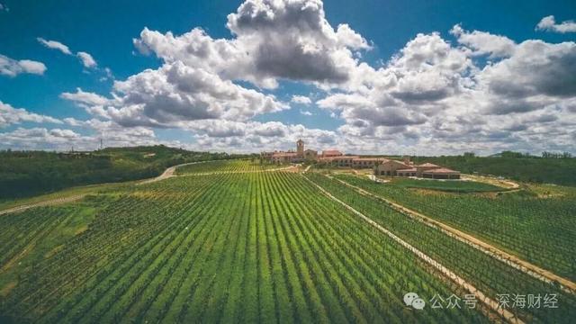 刚刚，官宣！烟台，杰出葡萄酒之都！