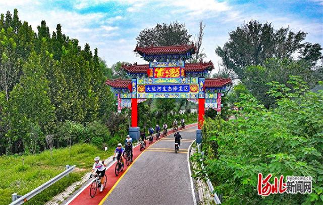 影像记录｜最美农村路，串起沧州运河好风景