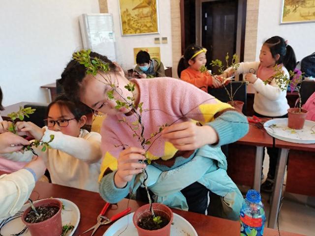 调教大师游戏攻略（小树苗要调教）