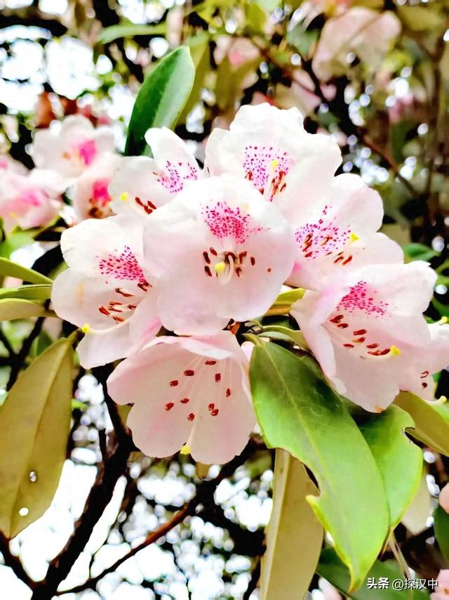 春有繁花夏有凉，秋染山林冬有霜 —— 草川子景区