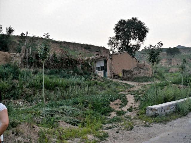 逃脱书房攻略（帮美女邻居抓老鼠）