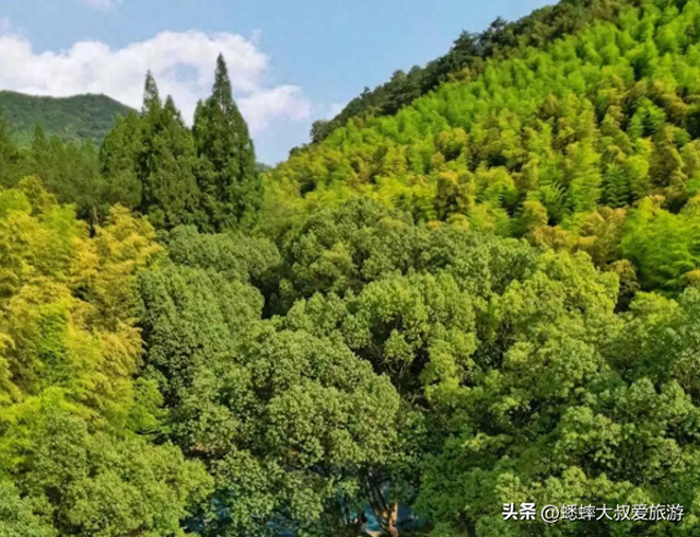 杭州低调名山后劲真大，拥有爬山，玩水，探古，还藏着遛娃优势！