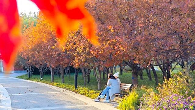 别想了，这个周末就在东湖见面！