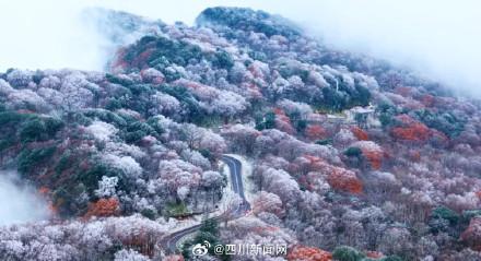 四川广元：山山秋色如画 树树红叶醉人