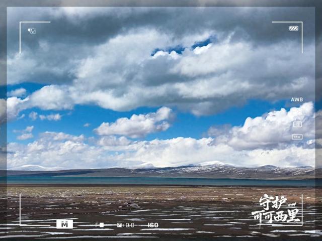 守护可可西里丨原来，你是这样的可可西里！