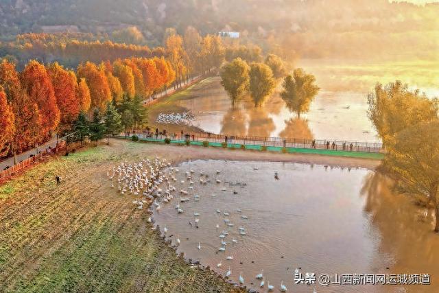 轻纱拂三湾 湿地似仙川