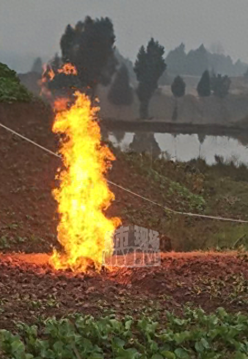 四川一菜地燃起数米高火焰	，烧了8天连续下雨也未灭！当地回应：非天然气管道泄漏，周围已拉起警戒线