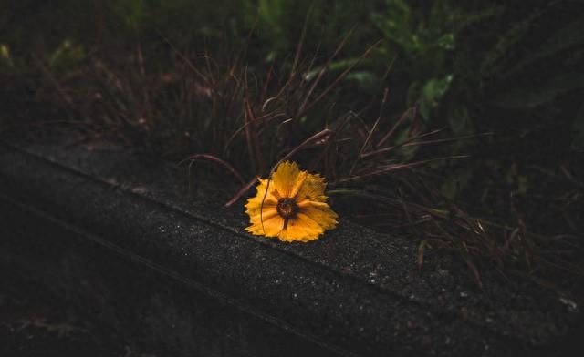 2025年10月29日 第58页