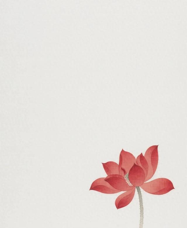纯色手机壁纸