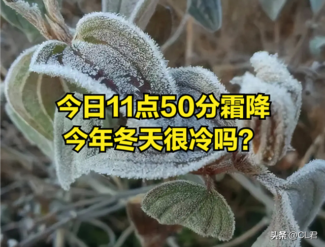 今日11点50分霜降，老人说“上午霜降冷到哭”，今年冬天很冷吗？
