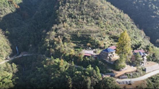 新宁：层林尽染紫云山千年古境展新颜