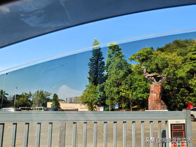 来河源才知道河源是中国恐龙之乡，挖掘出的恐龙蛋超级多