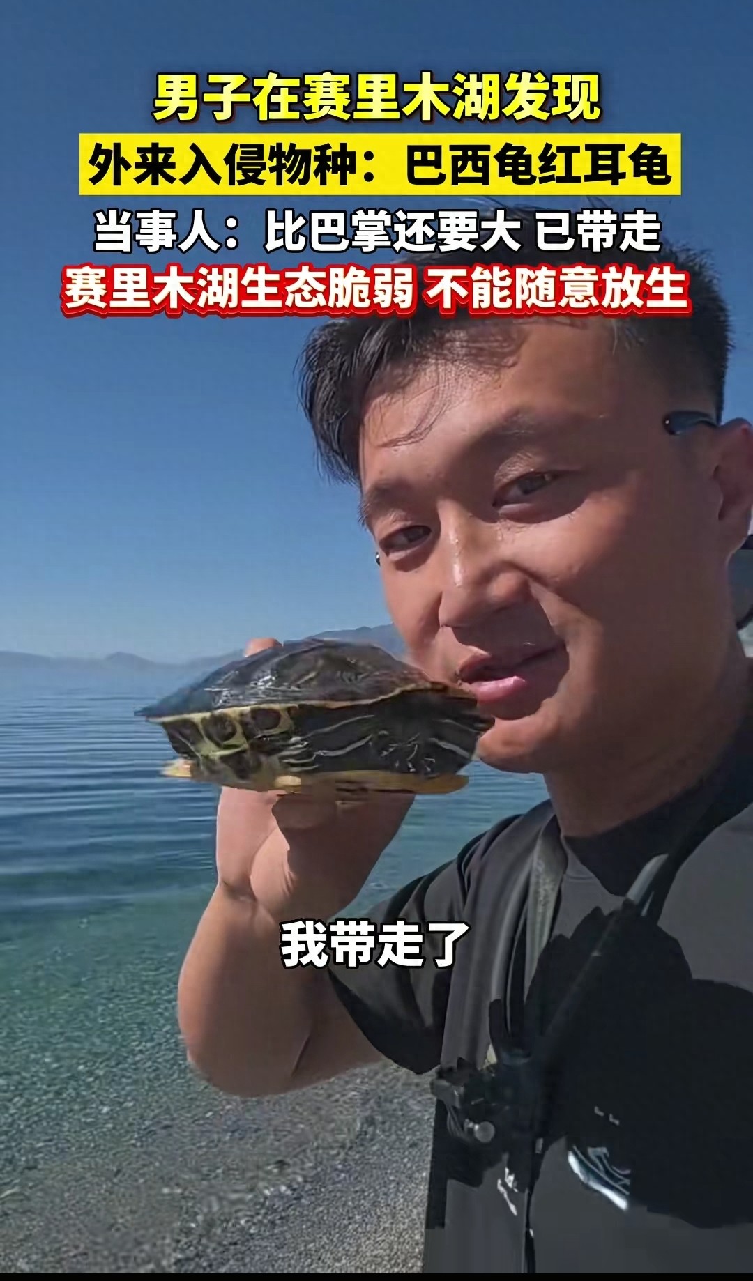 男子称在赛里木湖发现外来入侵物种(8 月 28 日,新疆博乐市一位游客在湖边石块旁,发现一只比巴掌还大的巴西红耳龟正缓慢爬行) 男子称在赛里木湖发现外来入侵物种(8 月 28 日,新疆博乐市一位游客在湖边石块旁,发现一只比巴掌还大的巴西红耳龟正缓慢爬行)