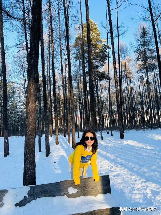 漠河六景漫游指南：从白桦林到驯鹿园，解锁极北冰雪童话