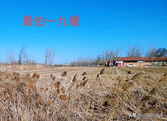 今年“一九”天不冷，老人说最怕“一九暖”，一九暖和有啥可怕