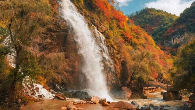层林尽染引客来！成县西狭颂景区秋叶观赏季人气持续攀升