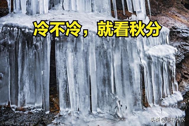 “冷不冷，就看秋分”，今日秋分，2025年冬天很冷吗？看农谚咋说
