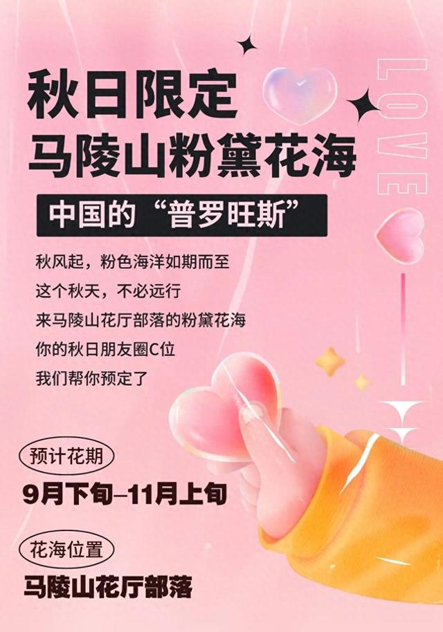 朋友圈顶流预告！花厅部落粉黛即将刷屏！