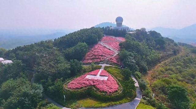 青岛即墨：打造“甜蜜经济”特色打卡地