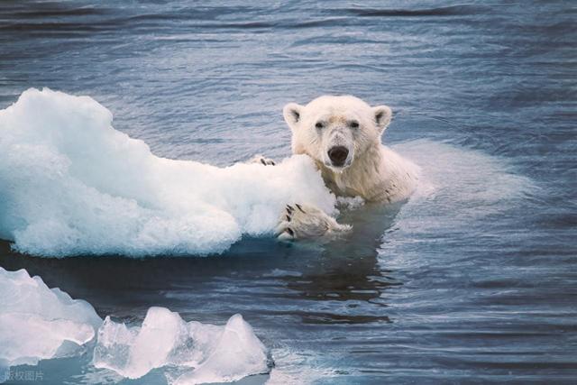 地球有两个北极，圣诞老人怎么知道哪个北极是他的家呢？