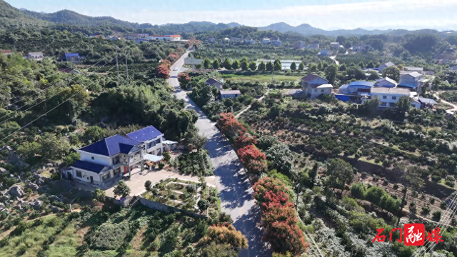 石门：栾树映秋 绘就城市诗意画卷