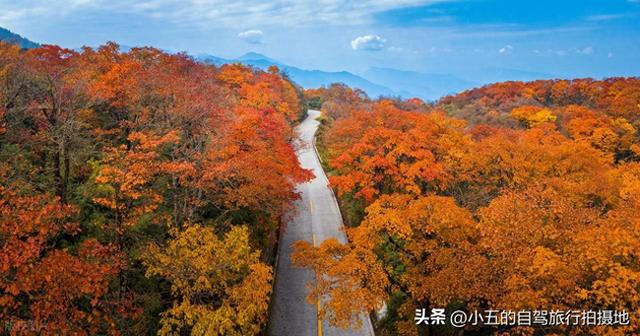 浙江 7 大红枫观赏地实测攻略！附精准时间 + 避坑技巧，收藏直接冲