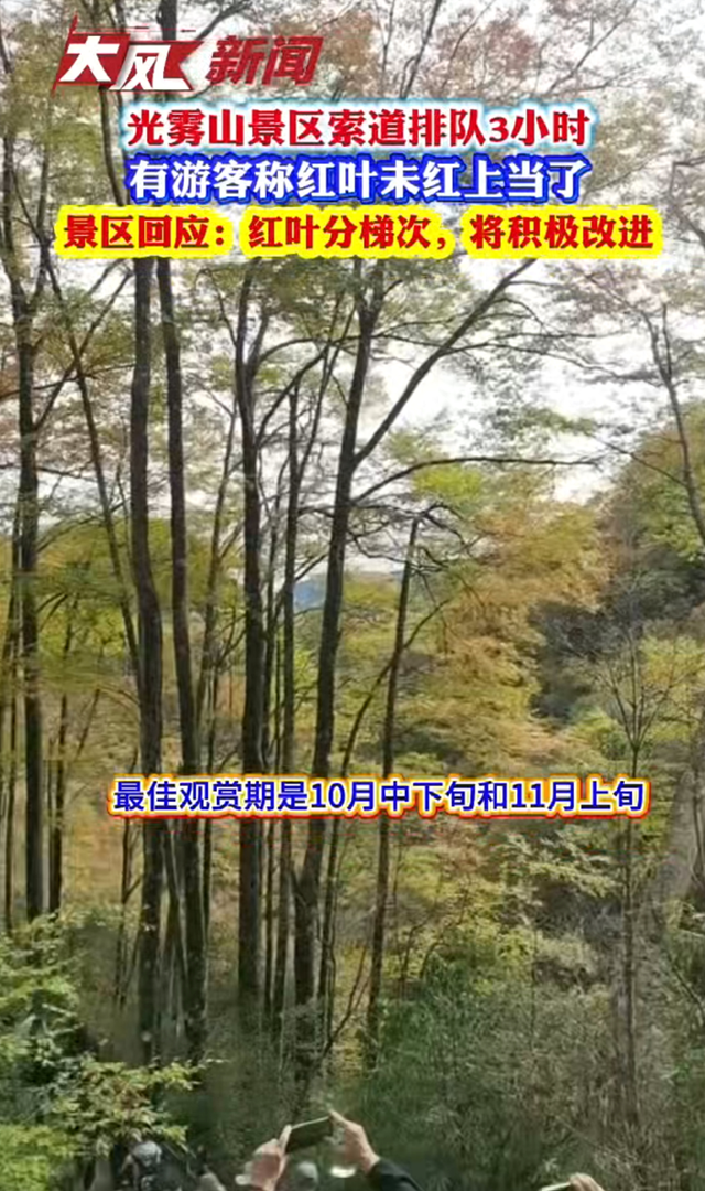 光雾山景区索道排队3小时，有游客称红叶未红上当了；景区回应红叶分梯次，将积极改进